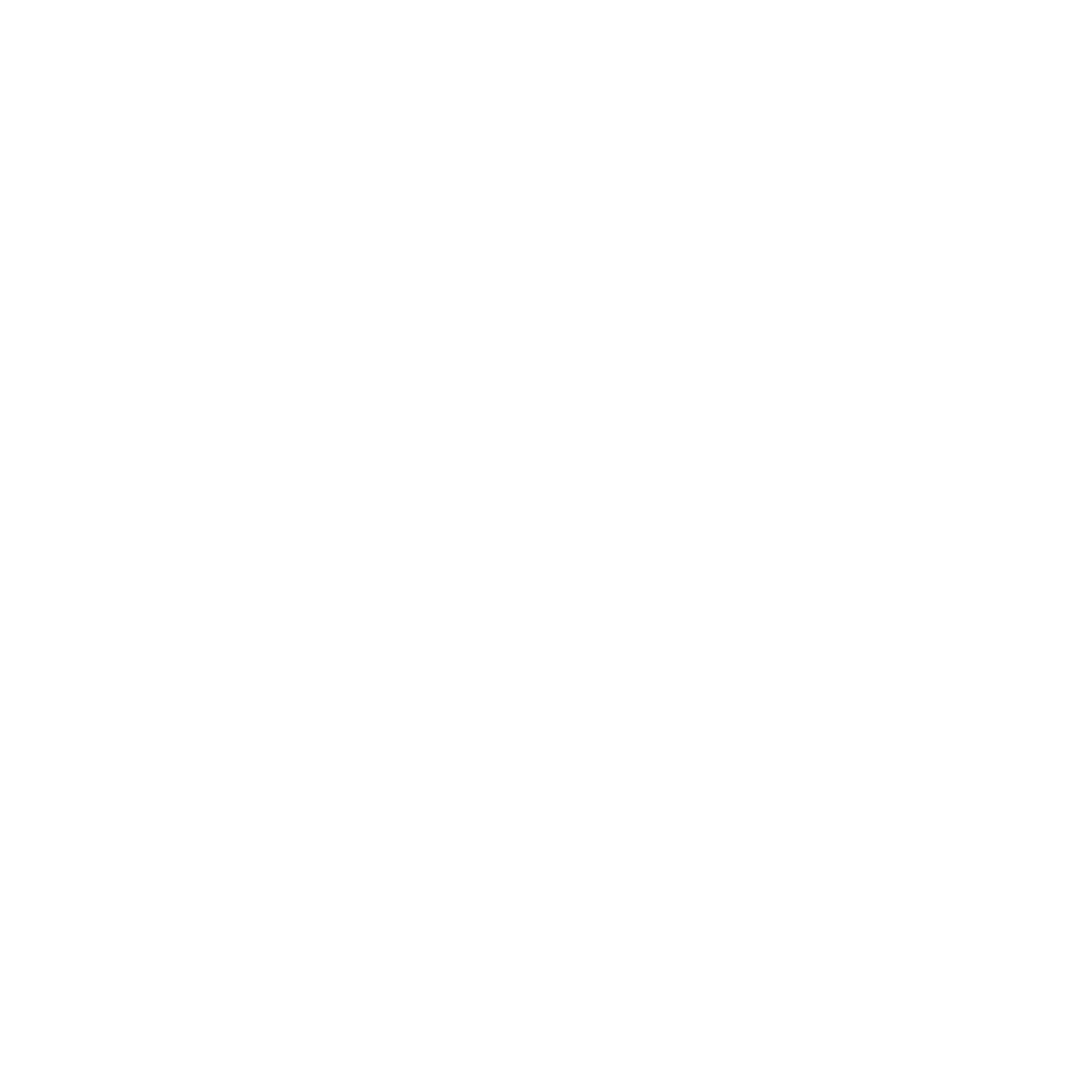 SkelApp Logo
